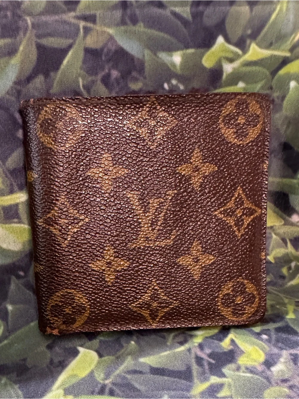 Louis Vuitton authentic louis